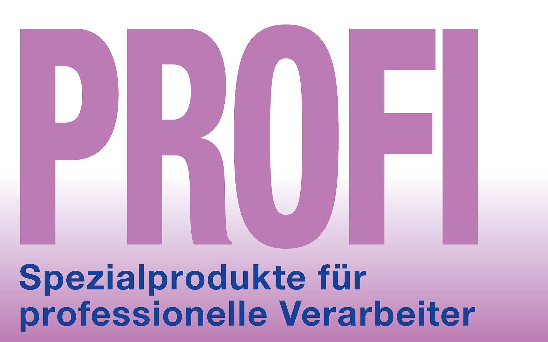Spezialprodukte für professionelle Verarbeiter (PROFI) Lithofin Profi