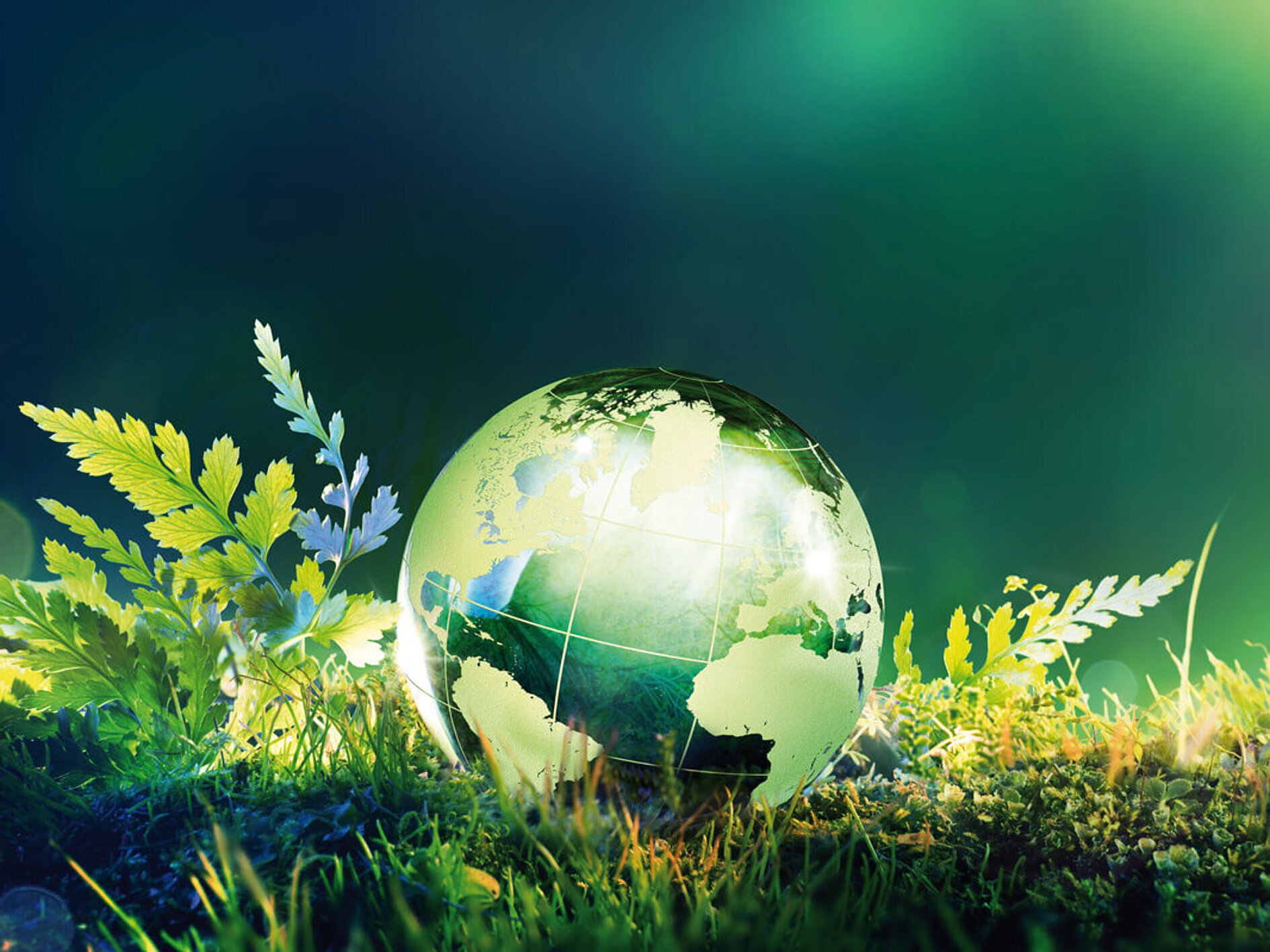 small green world