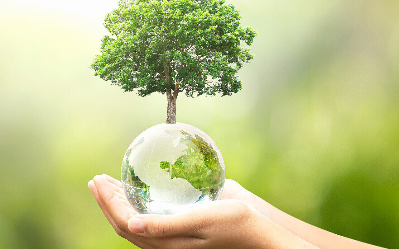 Grüne Glasweltkugel und Baum in Handfläche