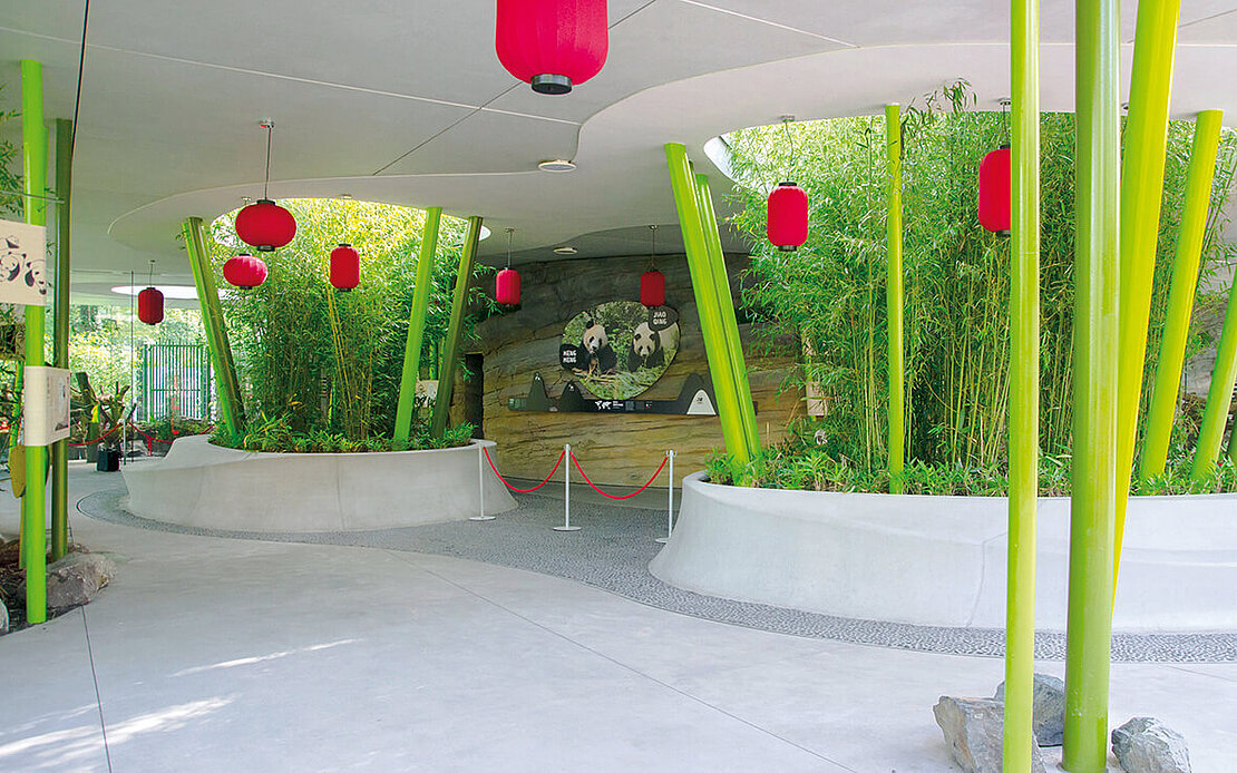 Panda Gehege Zoo Berlin