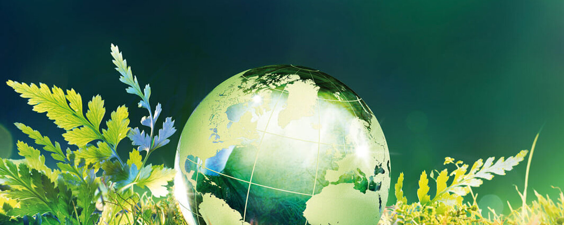 Glas Weltkugel auf Grünem Untergrund